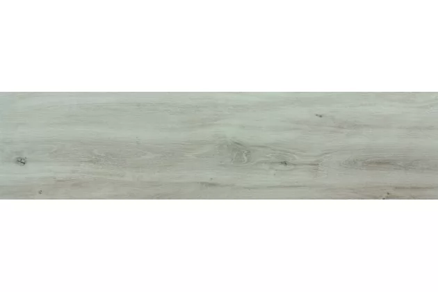 Arbaro Grey 29,7x120,2 - drewnopodobna płytka gresowa