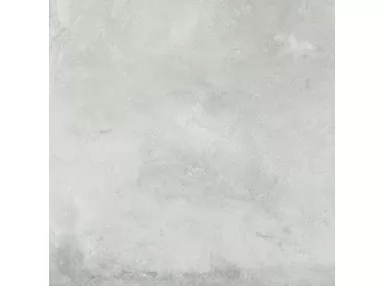 Formia Grey Poler Rekt. 79,8x79,8 - płytka gresowa