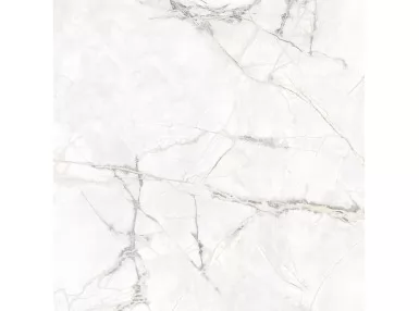 Borgia Blanco Natural 60,8x 60,8 - płytka gresowa