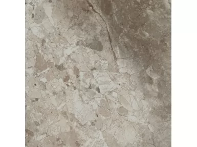 Namibe Noce Glossy 60,8x60,8 - płytka gresowa