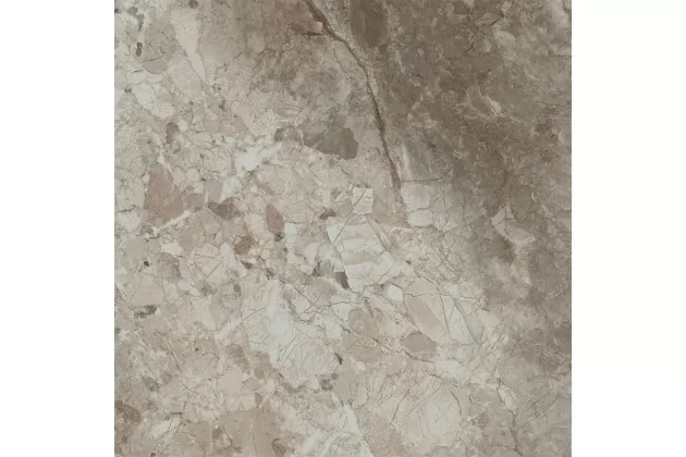 Namibe Noce Glossy 60,8x60,8 - płytka gresowa