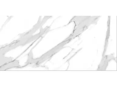 Inseti White Połysk Rekt. 60x120 - biała płytka gresowa