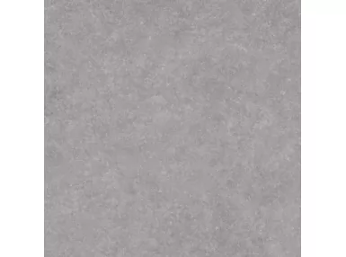 Light Stone Grey Rett. 60x60