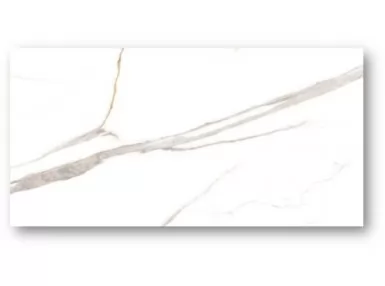 Albatros Carving 60x120 - płytka gresowa