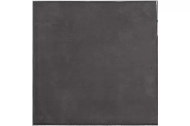 Fayenza Black 12,3x12,3 - płytka gresowa