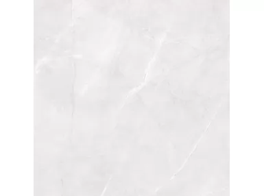 Abad Gris Rect. 59.6x59.6 - płytka gresowa