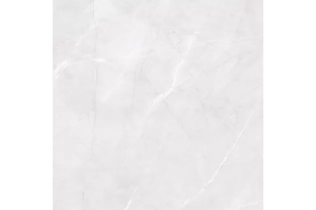 Abad Gris Rect. 59.6x59.6 - płytka gresowa