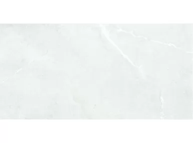 Lucca Floor White AS/60X120/C/R - płytka gresowa