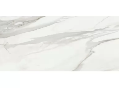 White Marble Calacatta Oro 61x122,2 - płytka gresowa