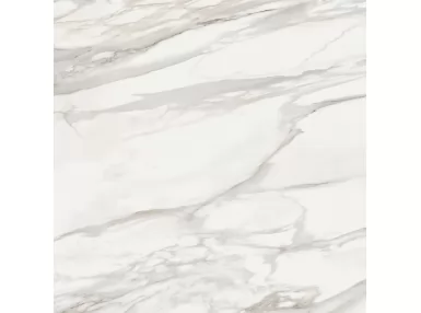 White Marble Calacatta Oro Poler 121x121 - płytka gresowa