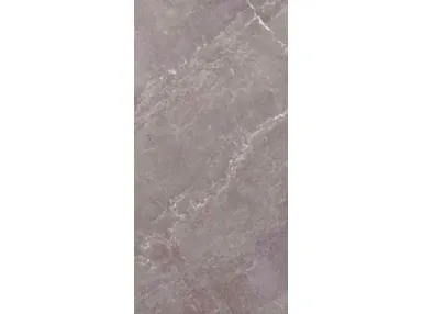 Diverso Gris Rect. 60x60 - płytka gresowa