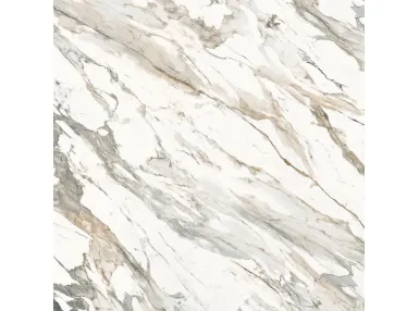 Archimarble Calacatta Extra Lux Rekt. 119,2x119,2 - płytka gresowa