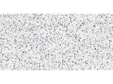 Frammento Macro Azzurro R10 Rett. 60x120 MN13 - płytka gresowa imitująca lastryko