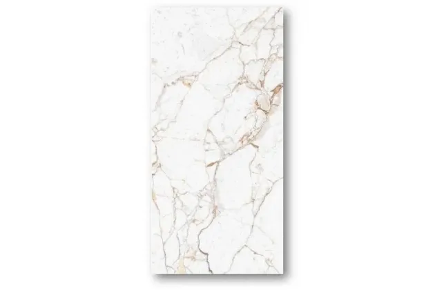 Monza Carving 60x120 - płytka gresowa