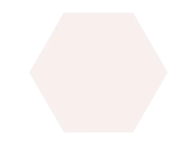 Chaplin White Hexagon 25x30 - płytka gresowa Hexagonalna