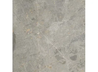 Dstone Ash Lekue Natural 60x60 - płytka gresowa