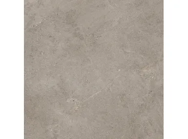 Naturalia Taupe MEV9 Rett. 100x100 - płytka gresowa