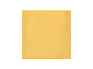 1900 Amarillo 20X20