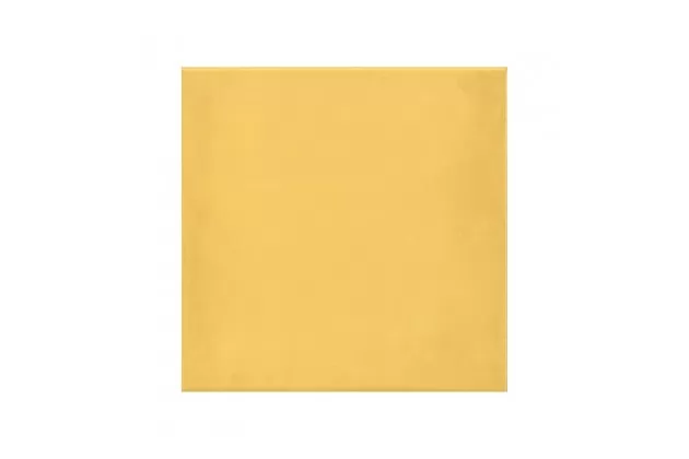 1900 Amarillo 20X20