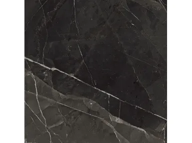 Archimarble Calacatta Black Honed Rekt. 59,6x59,6 - płytka gresowa