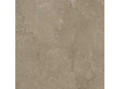 Archistone Portland Cross Rekt. 80x80 - płytka gresowa
