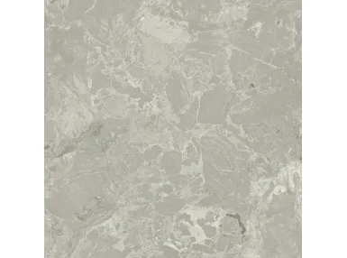 Aurora Grey Honed Rect. 120x120 - płytka gresowa