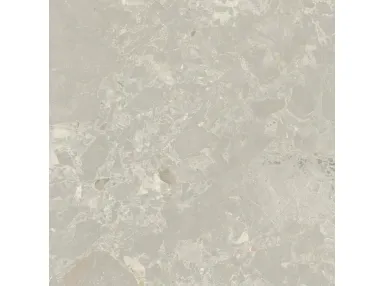 Aurora Taupe Honed Rect. 120x120 - płytka gresowa