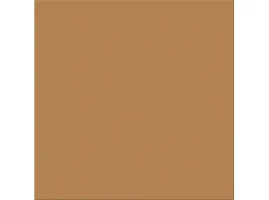 Croma Frond 20x20 - płytka gresowa