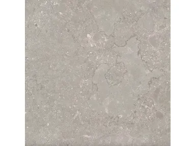Etna Gris Rekt. 100x100 - płytka gresowa