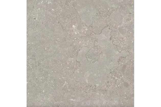 Etna Gris Rekt. 100x100 - płytka gresowa