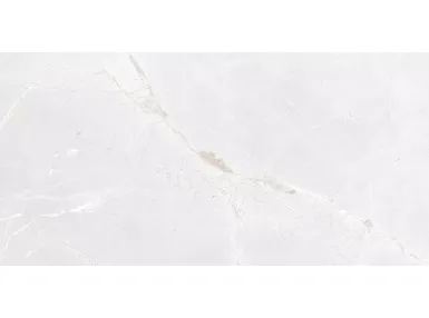 Marmi Perla Rekt. 60x120 - płytka gresowa