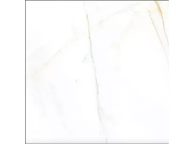 Stacal Rekt. 100x100 - płytka gresowa