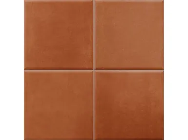 Terre Tandoori 20x20 (podział 10x10) - płytka ścienna
