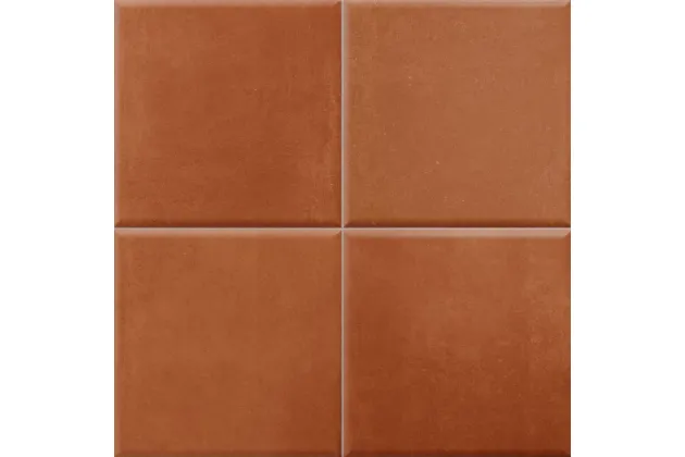 Terre Tandoori 20x20 (podział 10x10) - płytka ścienna