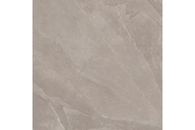 Shale Greige Nat. 120x120 SL0312 - płytka gresowa
