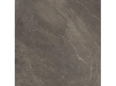 Shale Ash Nat. 80x80 SL0488 - płytka gresowa