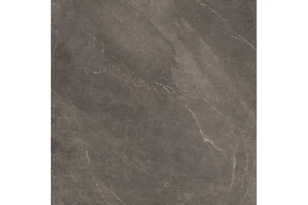 Shale Ash Nat. 80x80 SL0488 - płytka gresowa