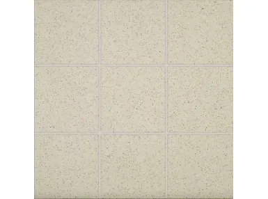 Taurus Granit TAA11061 ciemnobeżowa 10x10 - płytka gresowa