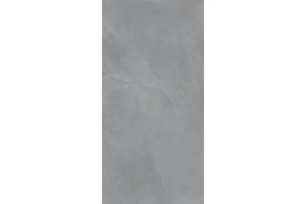 Ecoslate Grey Rekt. 60x120 - płytka gresowa