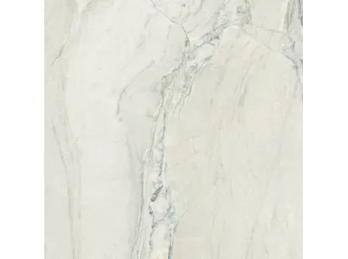 Michelangelo Matt Rect. 60x60 - płytka gresowa