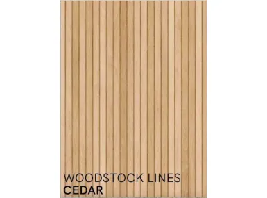 Woodstock Lines Cedar 60x120 - płytka gresowa