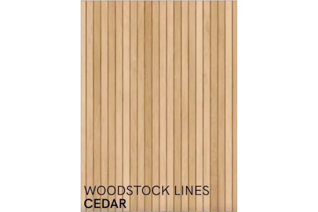 Woodstock Lines Cedar 60x120 - płytka gresowa