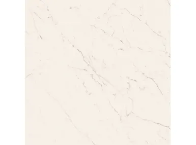 Archimarble Carrara Gioia Honed Rekt. 59,6x59,6 - płytka gresowa