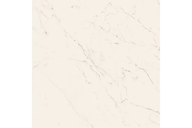 Archimarble Carrara Gioia Soft Rekt. 60x60 - płytka gresowa