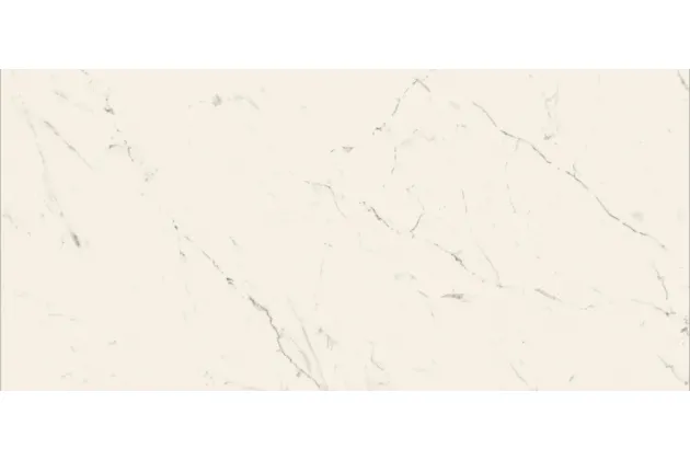 Archimarble Carrara Gioia Honed Rekt. 78,7x178,7 - płytka gresowa