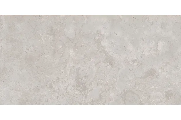 Campastone Grey 32x62,5 - płytka gresowa