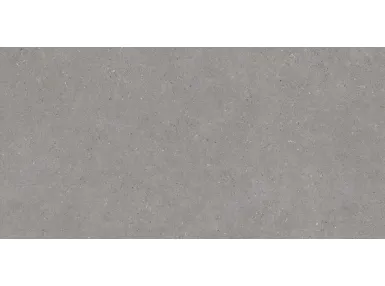 Moonstone Grey 60x120 - płytka gresowa