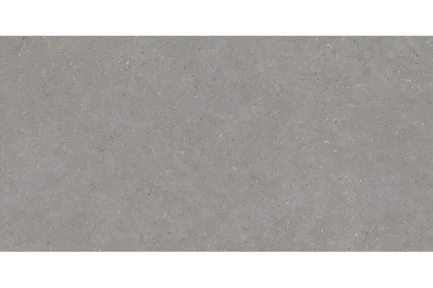 Moonstone Grey 32x62,5 - płytka gresowa
