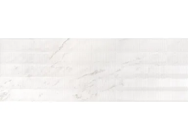 Shell Calacatta Rekt. 40x120