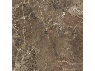 Imperial Brown Honed Rect. 120x120 - płytka gresowa